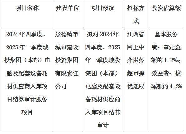 2024年四季度、2025年一季度城投集團（本部）電腦及配套設(shè)備耗材供應(yīng)商入庫項目結(jié)算審計服務(wù)項目計劃公告